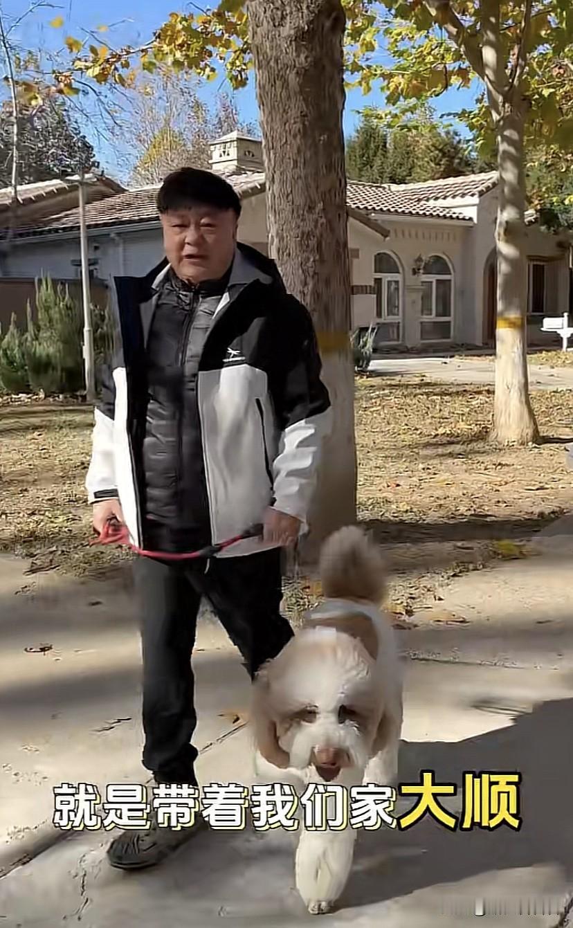 洪剑涛洪班长在自己家小区遛狗，看起来是一个很老的别墅区，房子像八九十年代的建筑，