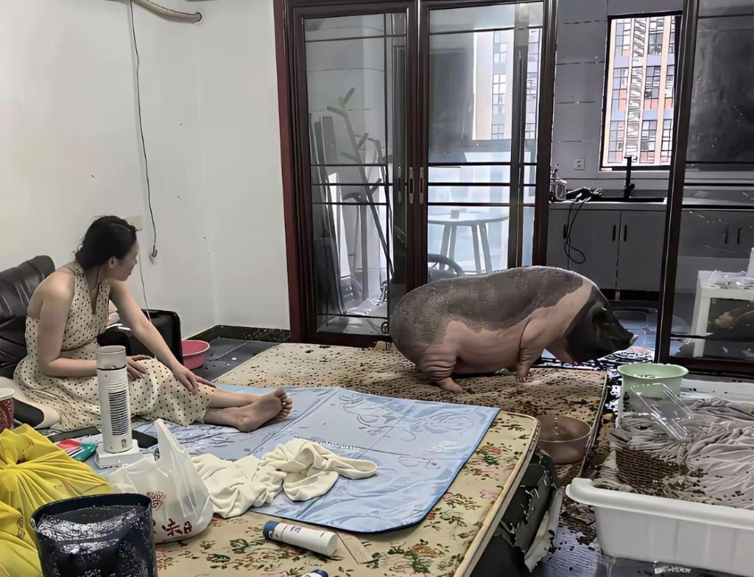 都说长不大，没成想长成这么大，还不舍得杀