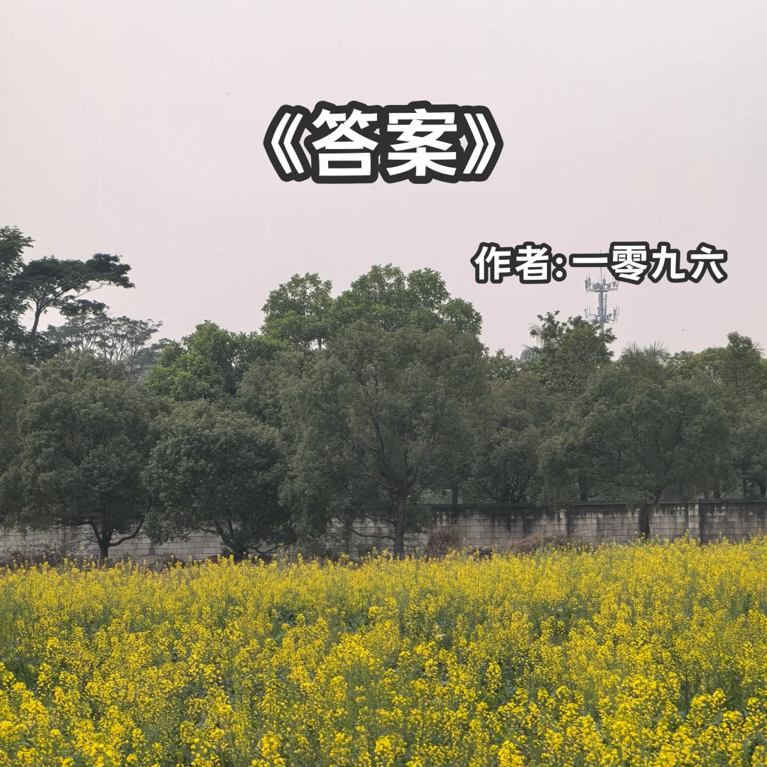 宅家小说｜先婚后爱《答案》