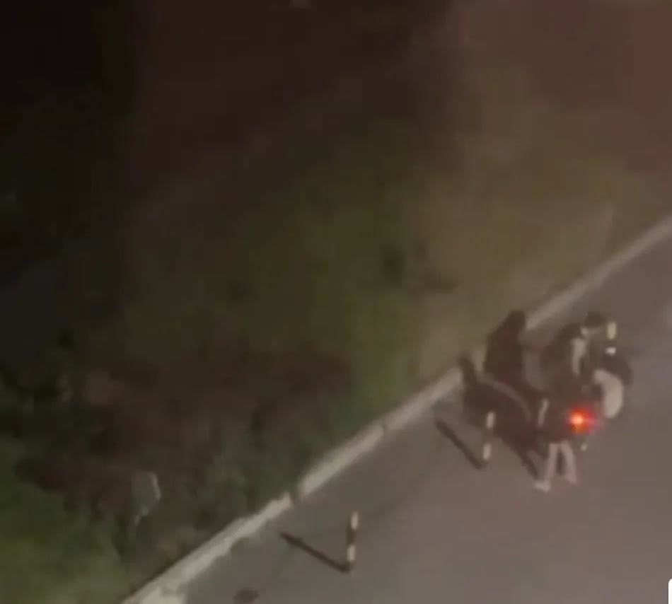 凌晨，一男一女骑着摩托车，在路边鬼鬼祟祟徘徊！他们载着两条狗来到人迹罕至处，