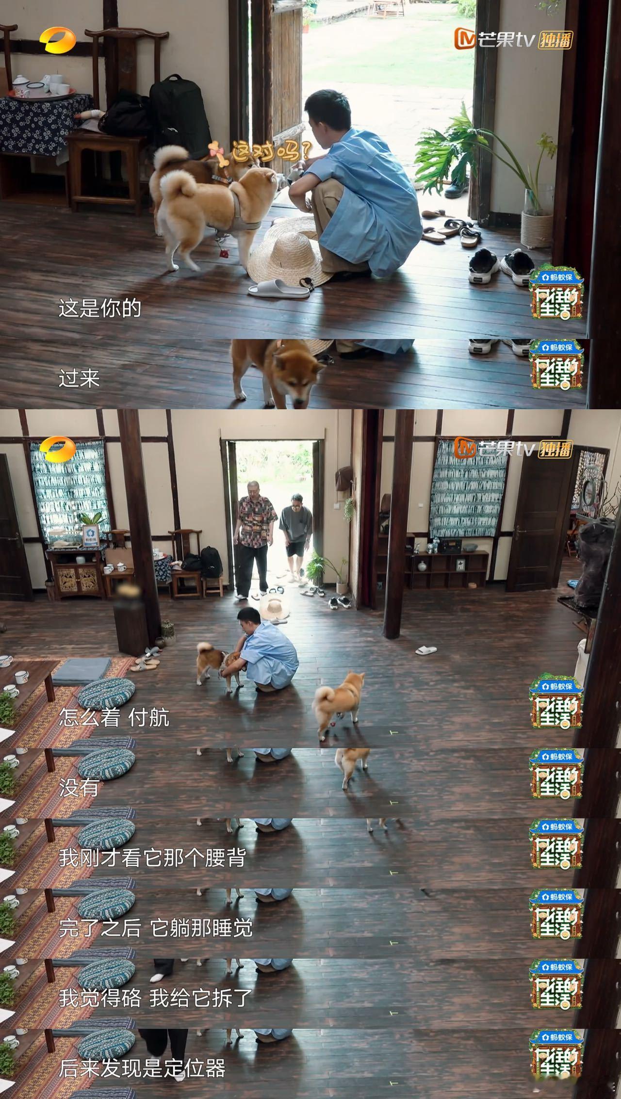 付航内向人格看着他小心翼翼地融入集体，慢慢和大家熟悉起来，真的很有共鸣。内向