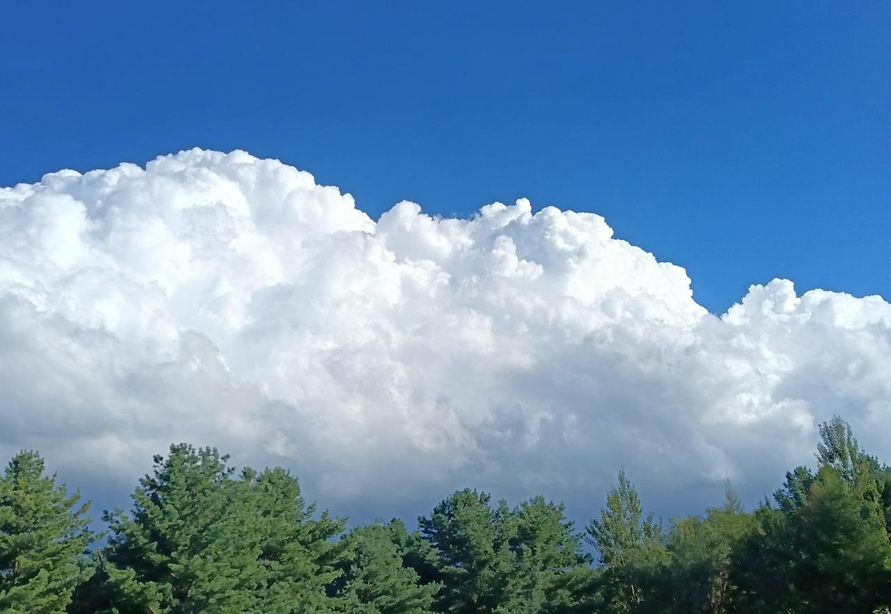 中午喝完酒，哥几个回到厂长办公室打一会扑克牌，只输不赢的，钱留在桌上，作为以后聚