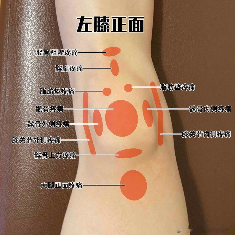 让膝盖多用20年昨天讲到了膝盖康复，有不少朋友提到自己膝盖已经疼痛了怎么办[跪