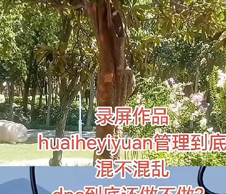 柴桑大姐说大药房到底是管理混乱还是不混乱？你说老杜和大药房他们之间岂不是互相冲突
