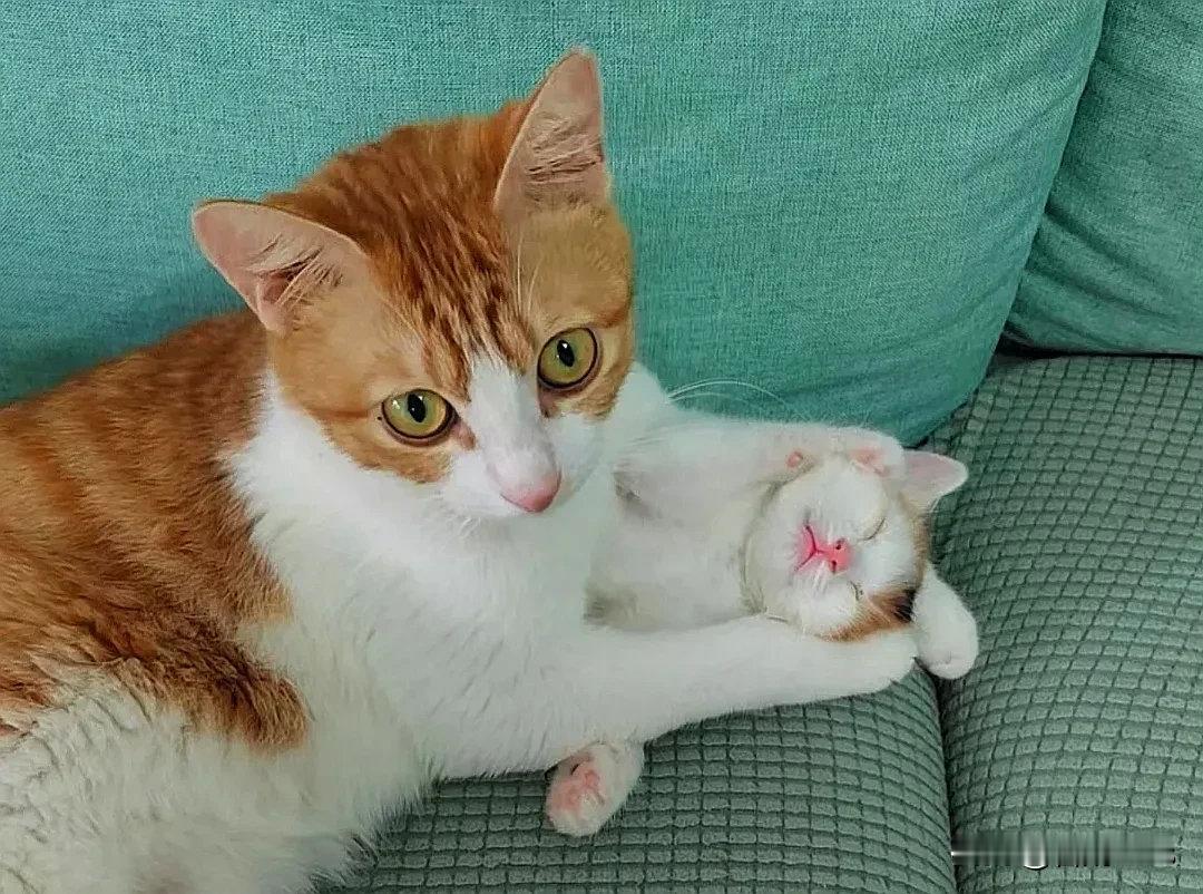 第一次当妈妈，这把宝宝稀罕的！