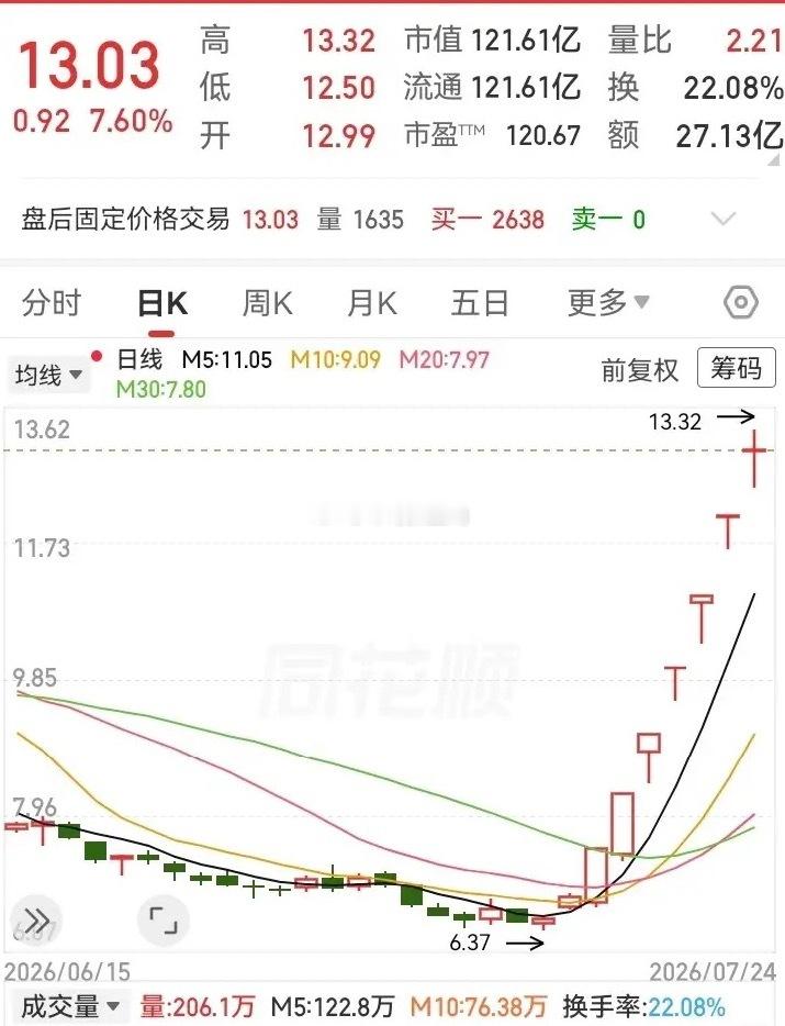 这走势真绝了！连涨半个月，从6块多飞到13块，高度一下子翻倍了。前期还在一路阴跌