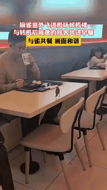 这事有点解释不清了。一男子从日本返回沈阳，准备从上海浦东转机，早上在机场吃