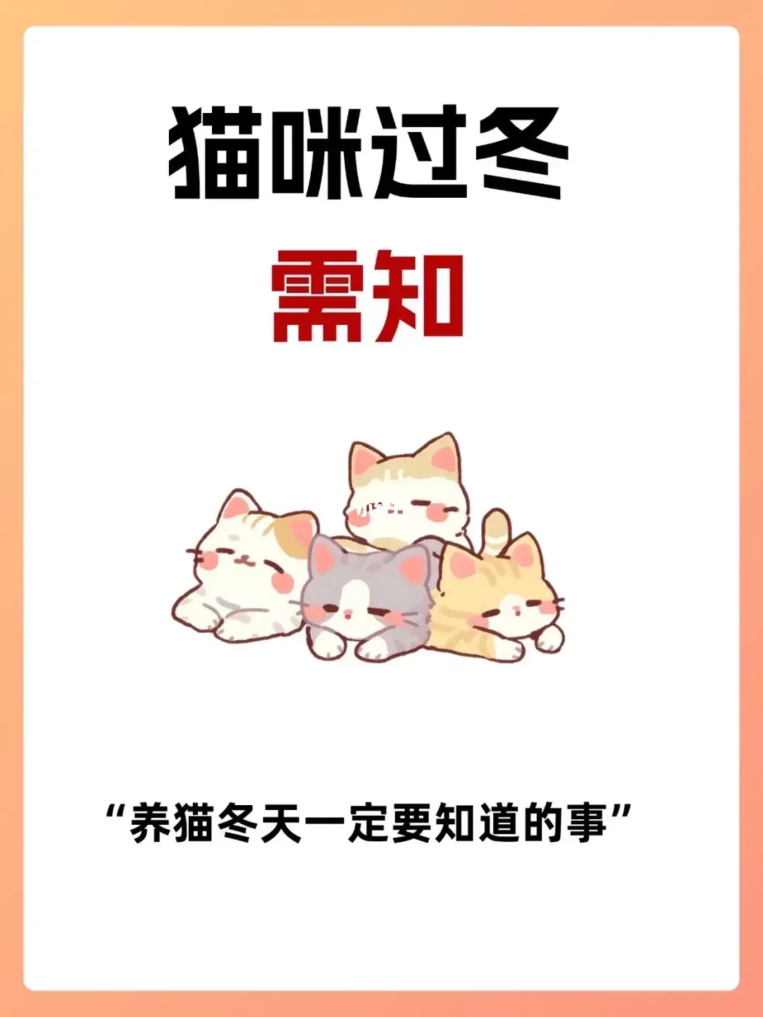 猫咪过冬需知