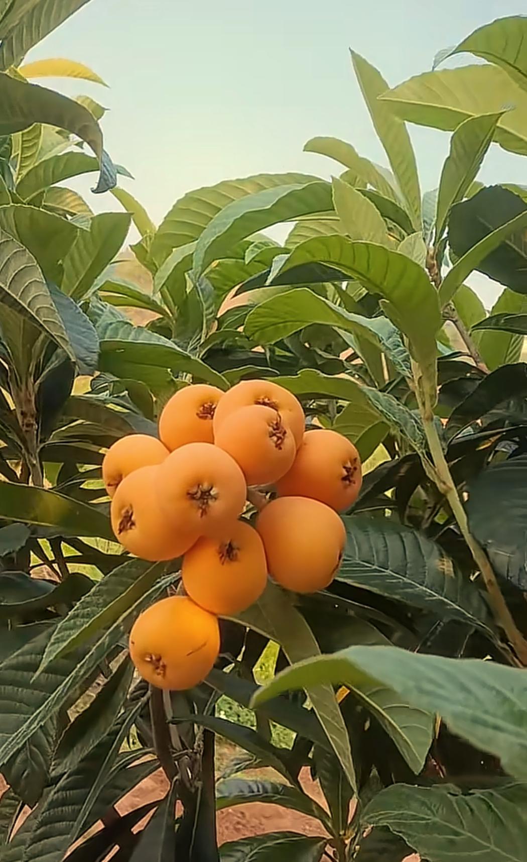 今日A股值得关注的三个板块动向：一.高铁/轨交：“十五五”基建预期升温