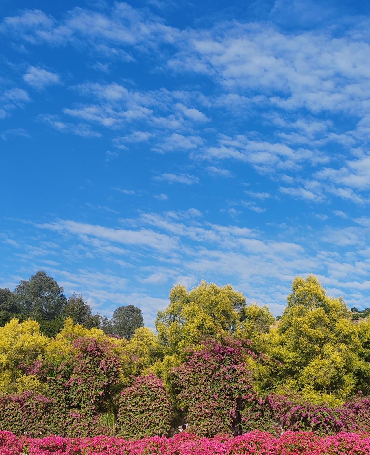 半年前，老公舅家的大儿子带着他媳妇儿，坐火车来我家，半年了，不回去。为这事，老公
