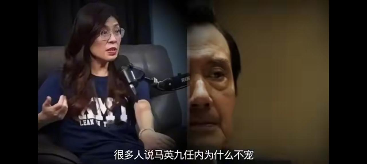 台湾现实很残酷，恐怕不是专家说的那么简单。比如复旦沈逸教授说，一个电光台湾就统