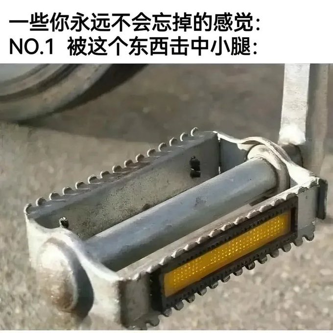 上次骑共享单车撞的那一下青一个月[微笑]​​​