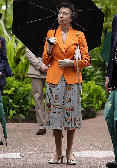 扒拉扒拉一期贵圈老太太时尚来发一下，刚好11月过半多一点~前阵子英国安妮公主