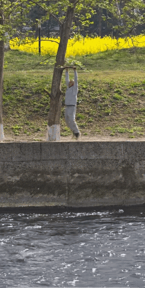 你可能想到了结局，不过，你想的结局不对。若是树枝折了，肯定是要掉到河里去的。