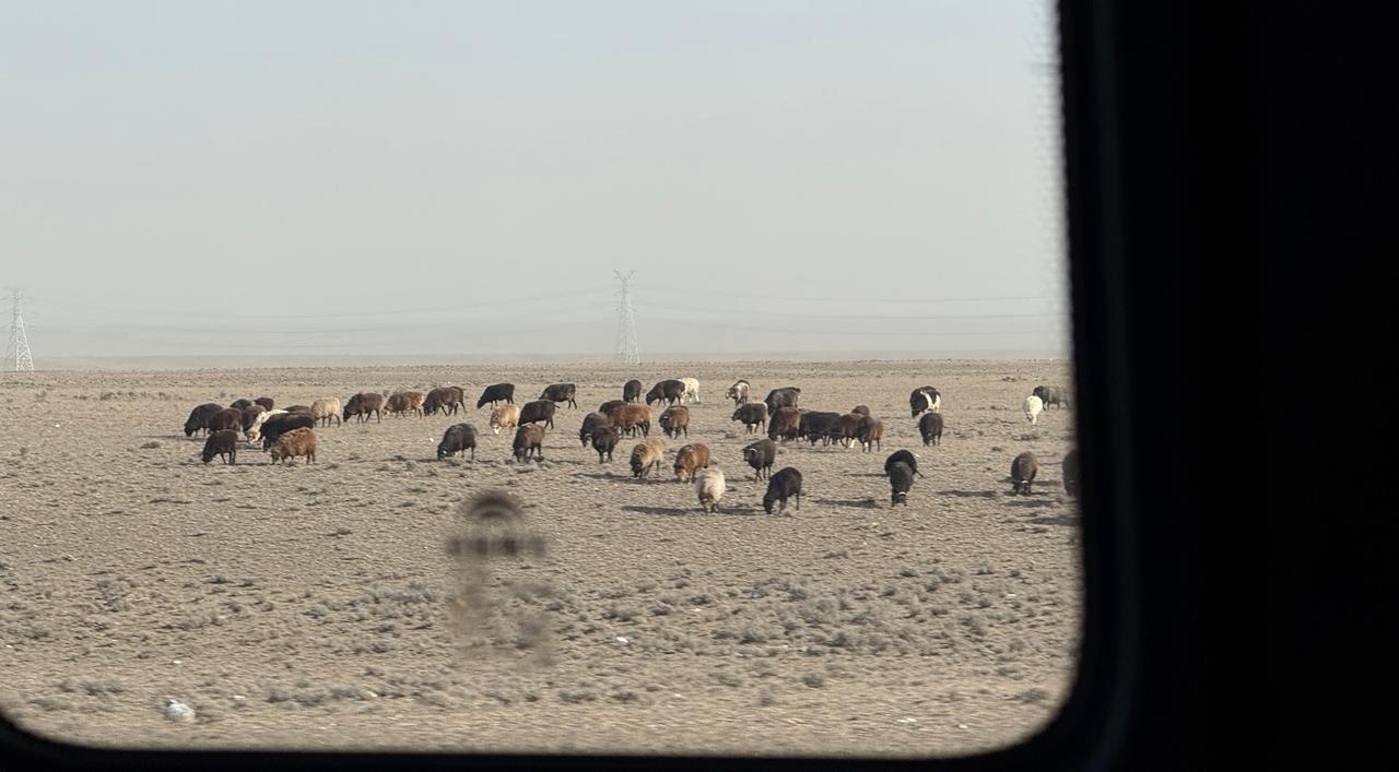 今日行程:乌鲁木齐-阿勒泰本来是走高速5个小时就能到的，结果高速临时封闭要走国
