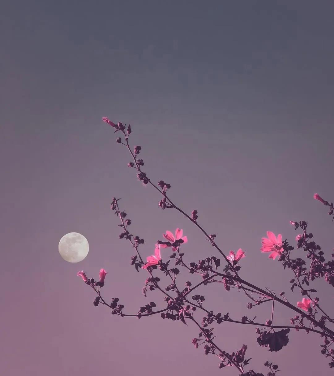 灵性高的人，气场很强大，看上去很佛系。可一旦触及他的底线，霸气、边界感、原则和攻