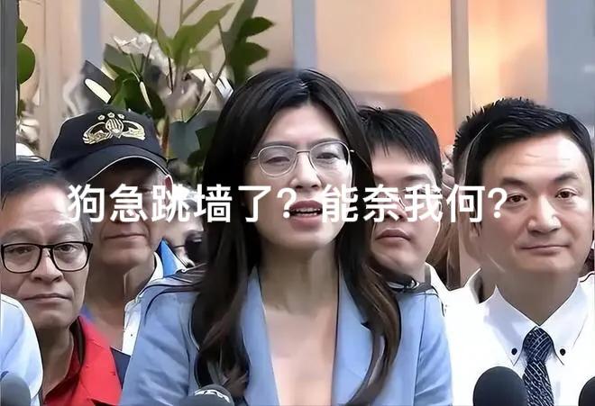 有点儿“狗急跳墙”了～4月13日台湾三立、民视等深绿政论节目集体围攻郑丽文，大量