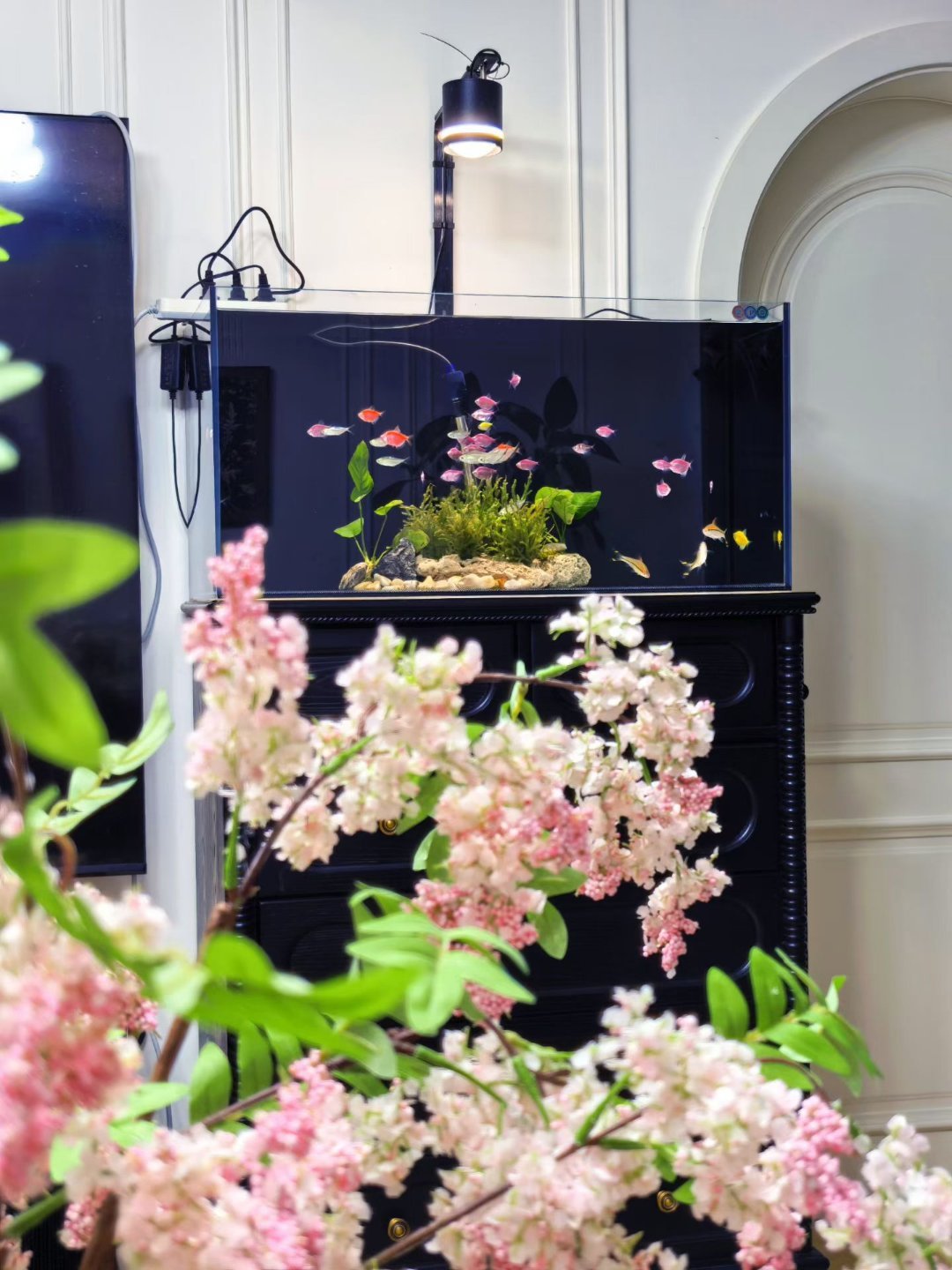 自由的镜头是一个和煦的春天🌱春天真好啊～周五的春天最好