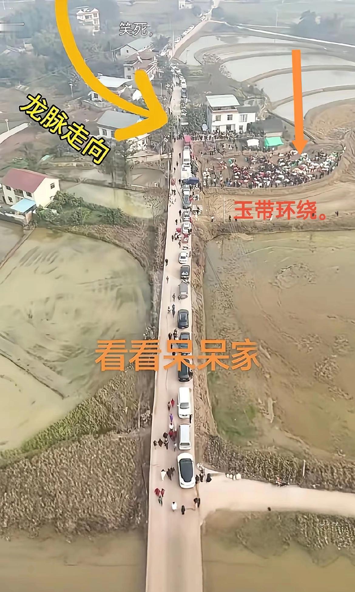 呆呆爆火的原因已经上升到玄学了，天时地利人和都占了，这次能火是命中注定，只是时间