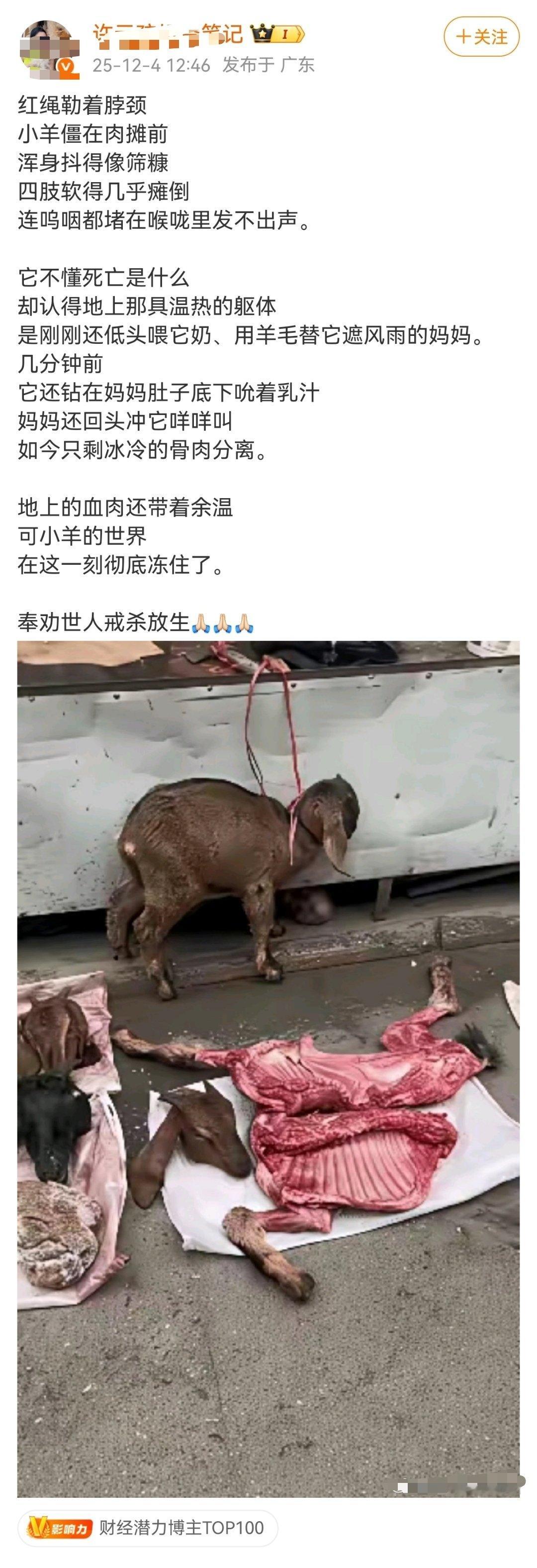 第一天：我这人心太善了，见不得动物受苦第二天：真香啊～