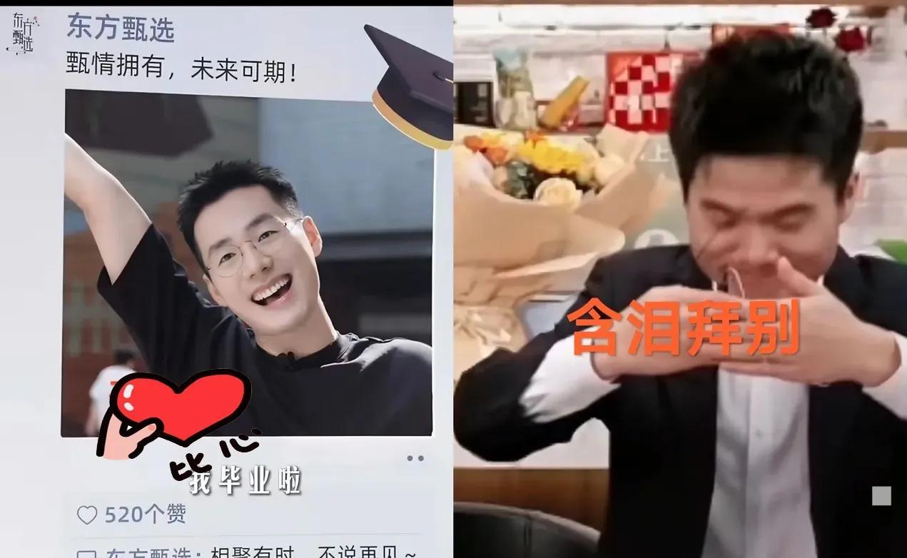 实在睡不着，真想给董宇辉打电话，让他把顿顿收了吧！这样就是双赢，宇辉从此多了
