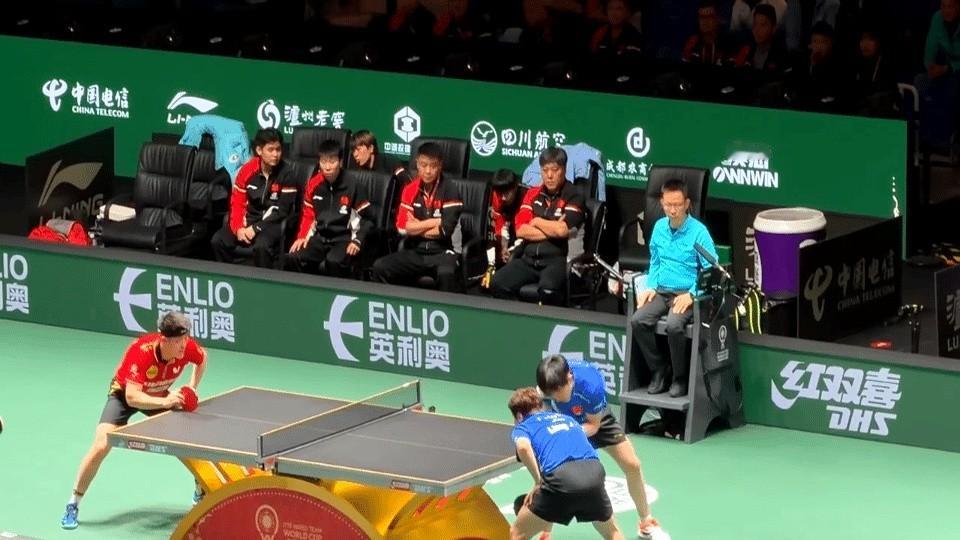 这俩“热血笨蛋”真是把我看破防了！现在网上全炸了，有人说王楚钦这届跟个“牛马