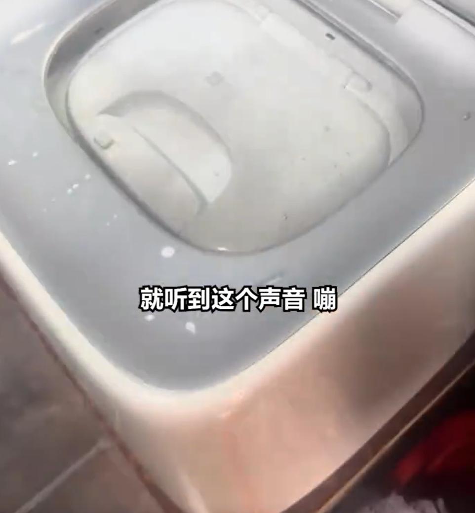 近日，福建省福州市的一网友反映：家里的小型洗衣机——小米内裤专用洗衣机刚买不到一