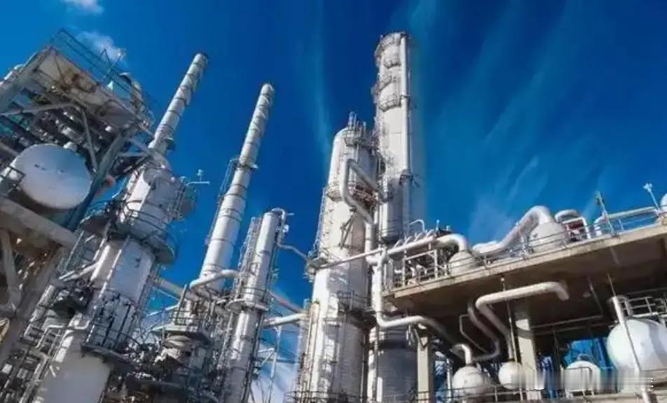 “我们还是工业强国吗？”魏德尔在演讲中抛出的问题，像颗石子砸进寂静的深潭，全场瞬