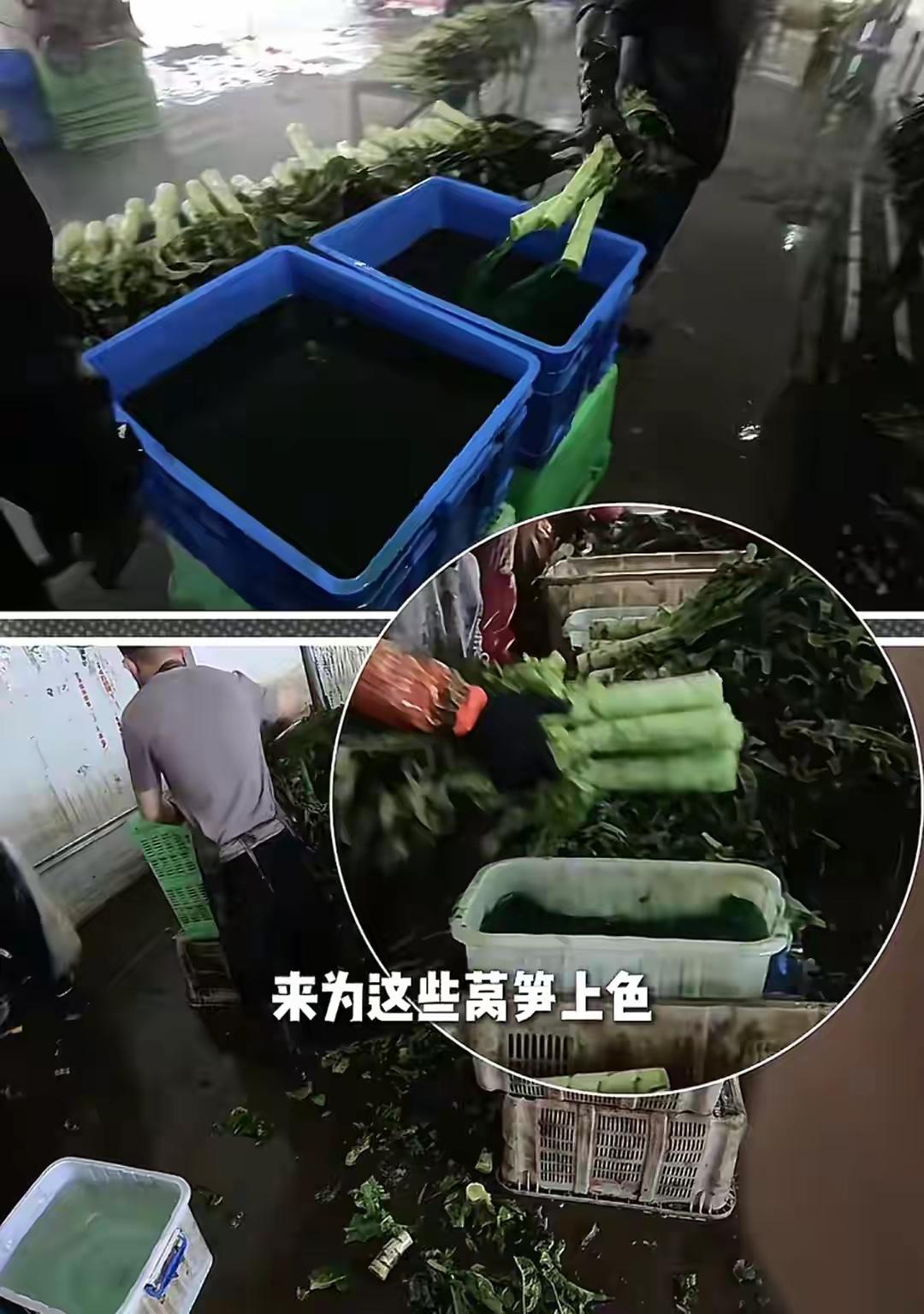 “白菜终于松了口气，来了个接班的！”兰州榆中，有博主曝光当地部分菜库用“果绿”添