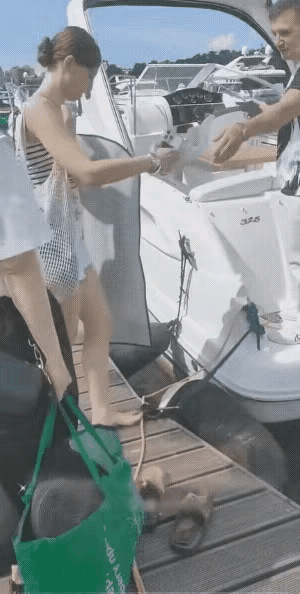 看着看着就掉下去了…🥲