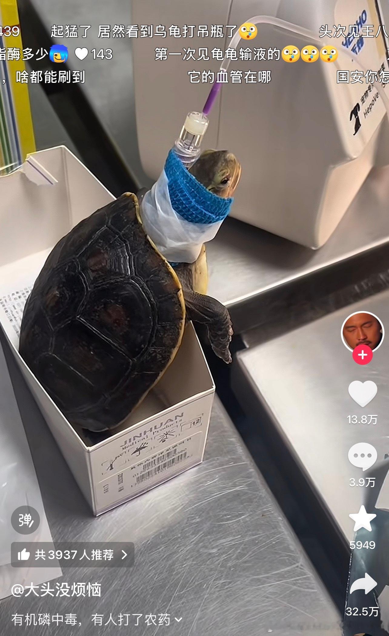 你在宠物医院见过哪些离谱的病例动物奇遇记​​​