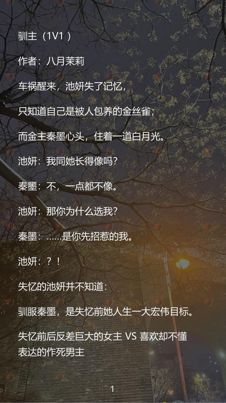 不清水小说推荐 好看的小说