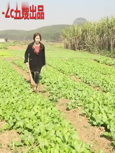 新闻联播_5月9日广西十四条高速公路开工