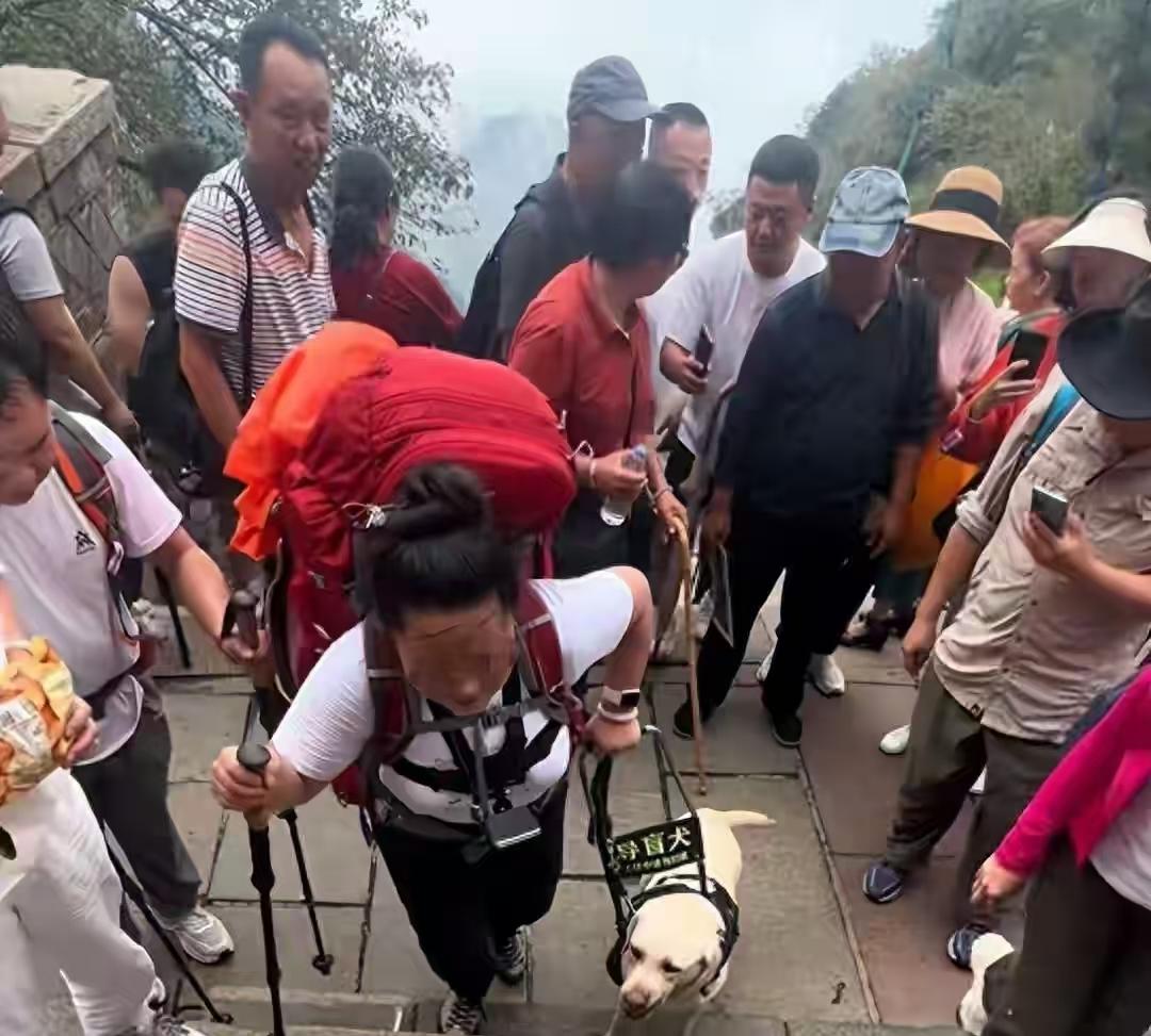 夫妻虐待导盲犬后续：身份被扒工作要黄，官方怒斥，基地已收回那对靠“盲人恩爱
