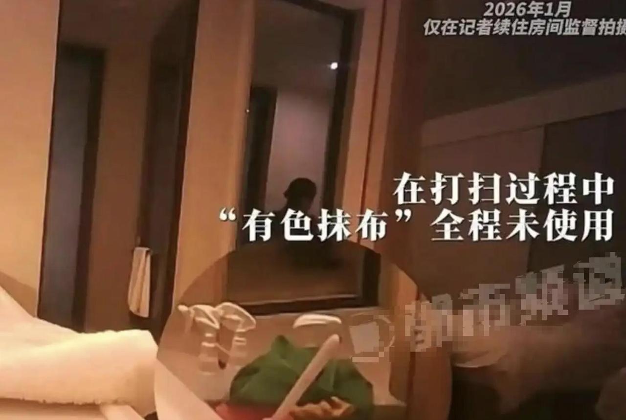 看到成都维也纳酒店那事儿没？我看完好几天吃不下饭，真特么恶心。记者暗访成都一