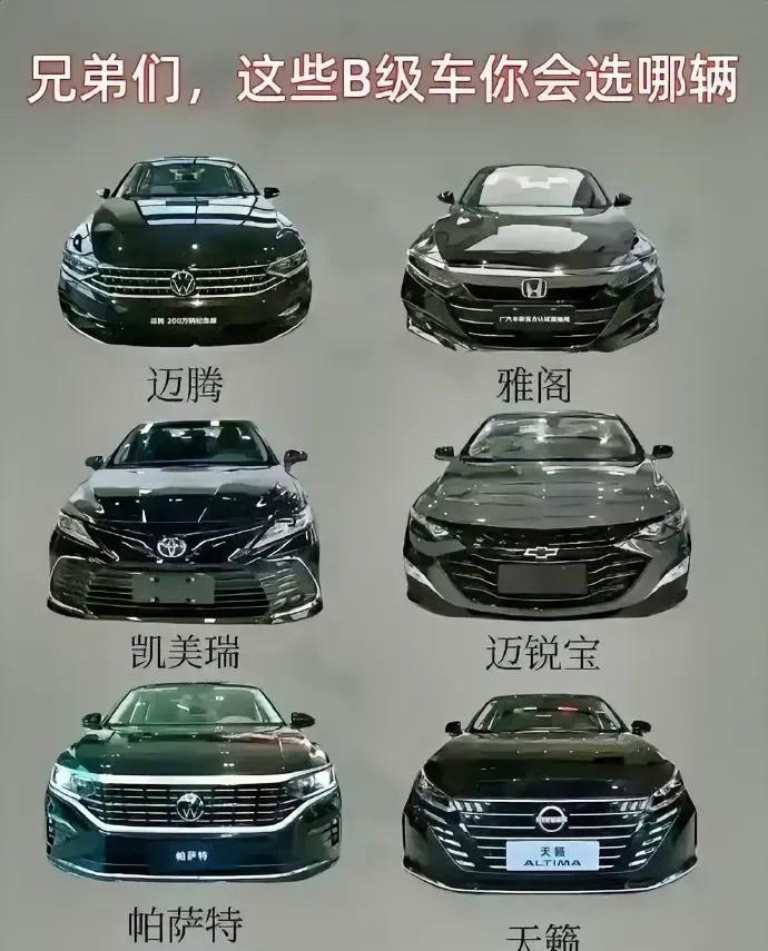 如果给你二十万，你会选哪辆车？