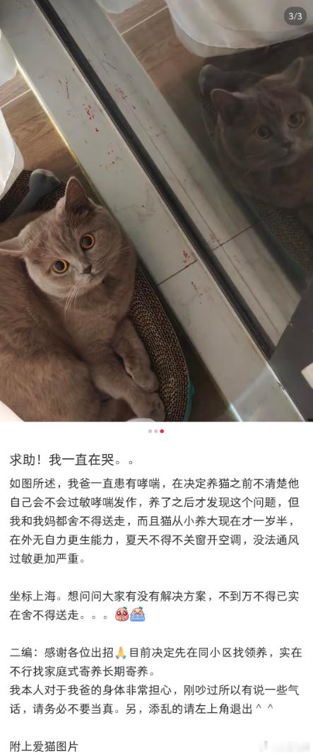这就是小棉袄，生怕你哮喘好了 ​​​