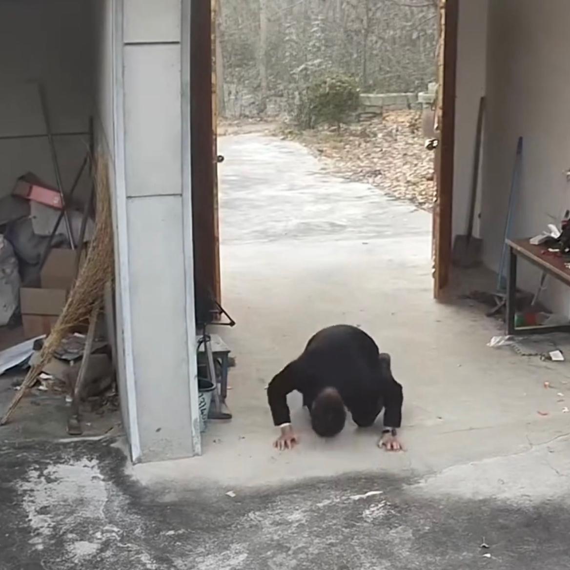 江苏徐州的一个小村庄，40多岁的范先生站在自家老宅门口，手里握着那把生锈的门锁，