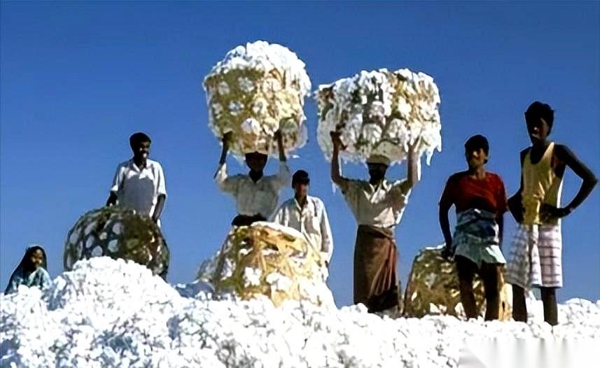 我跟你说，最近看到一个事儿，真是刷新了我的三观。把自家地里的麦子，打骨折卖给邻