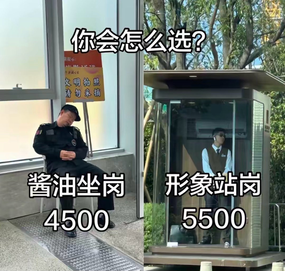 你会怎么选？​​​