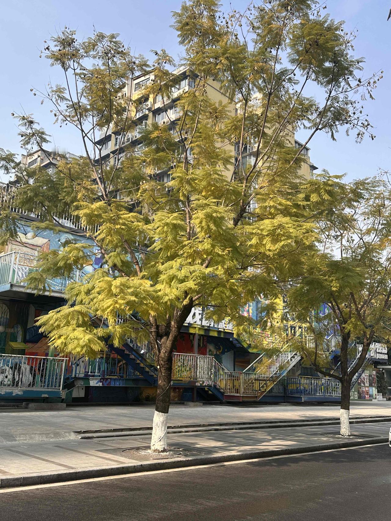 分人吧，都是可以的，怎么舒服怎么来，每个人有自己的生活方式和状态