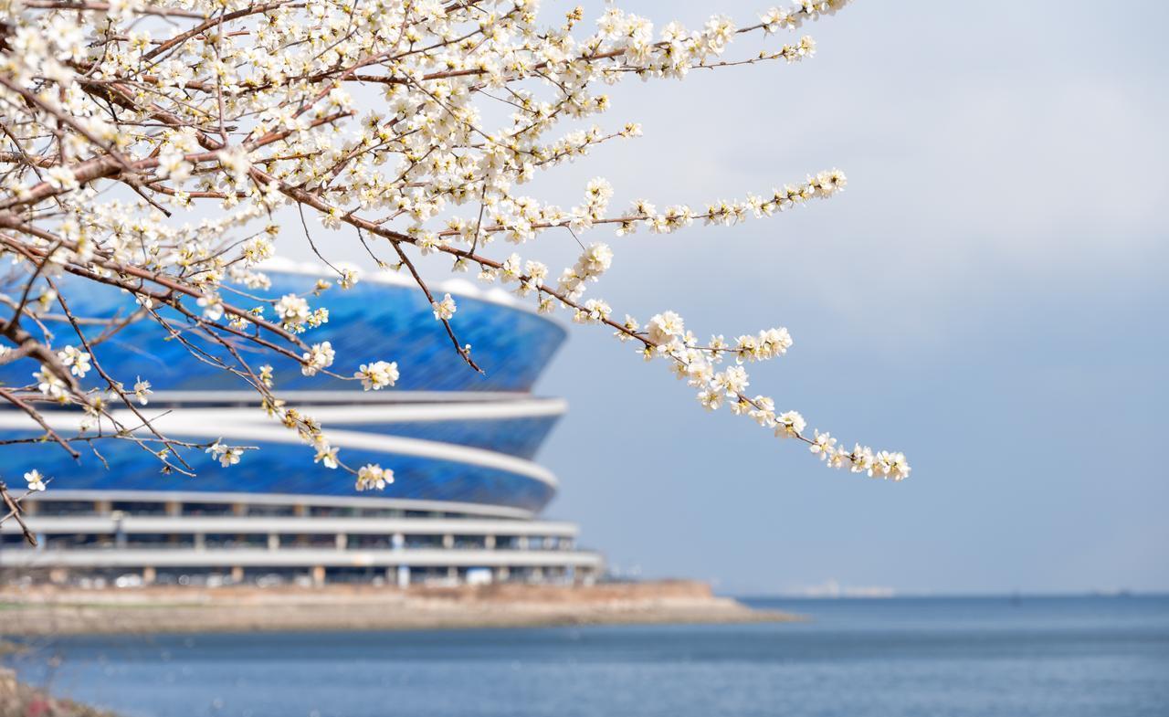 焦元南听到后，歪头一看是王平河来了，说道：“大哥，你过来了。这几天我还念叨呢，也