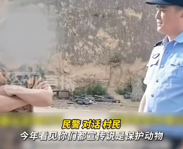 陕西延安志丹县，一大妈几年前在上山锄地时，无意间看到两只狍子幼崽蜷缩在地上，当时