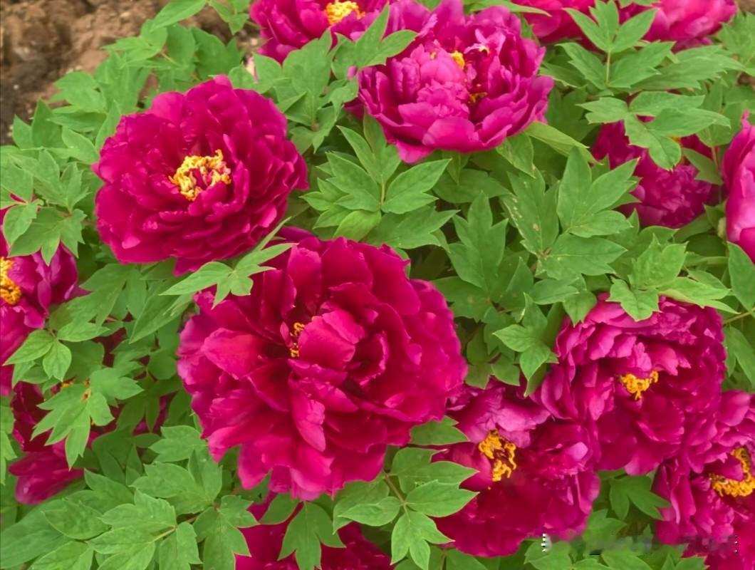 1.买房不买大户型，屋子够住就行2.钱，千万不要乱花，衣服少买，有的穿就行，