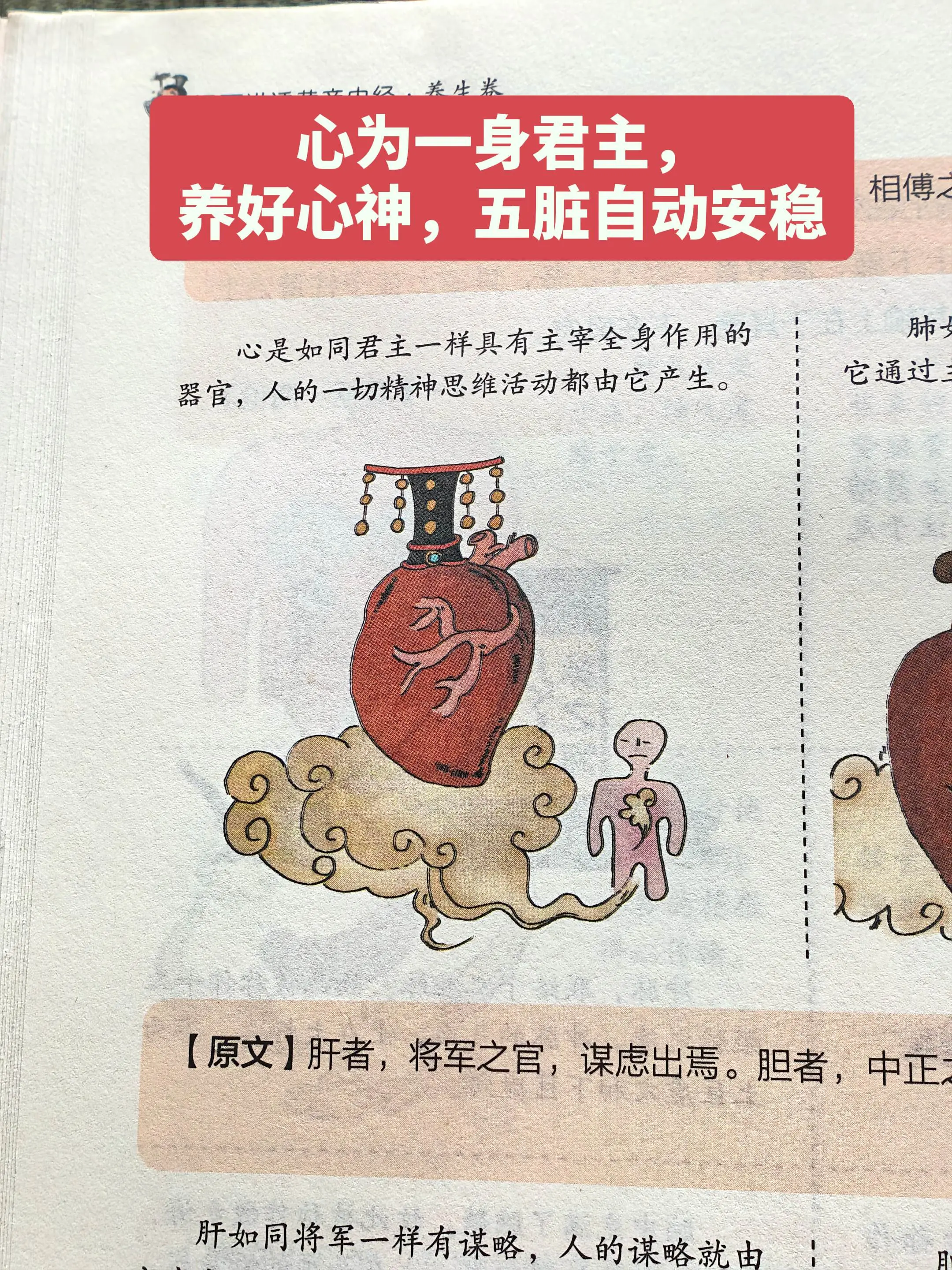养护心神，让身体和情绪都安稳✨。中医里说，心就像统领全身的君主——既要...
