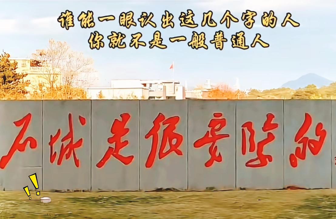不是我吹，能认出墙上四个字以上的，那真算我输。这面墙的行书写法十分洒脱，笔画变