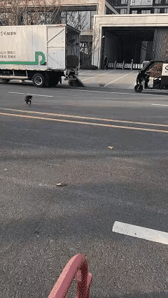 谁能想到啊！天天喂的小黑狗突然“耍脾气”，递过去的肉干闻都不闻，扭