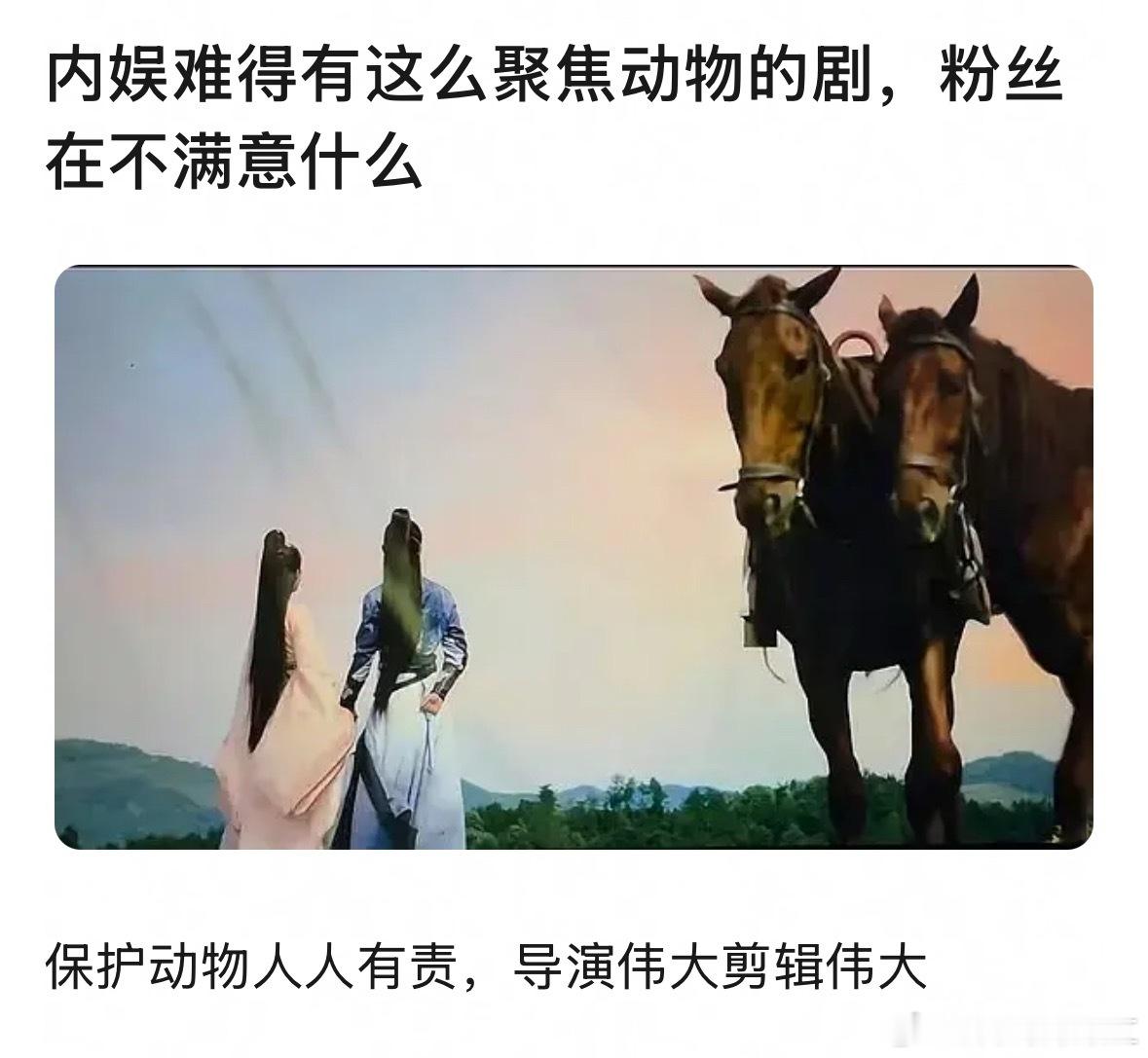 哈哈哈哈哈哈哈哈哈哪个导演啊？