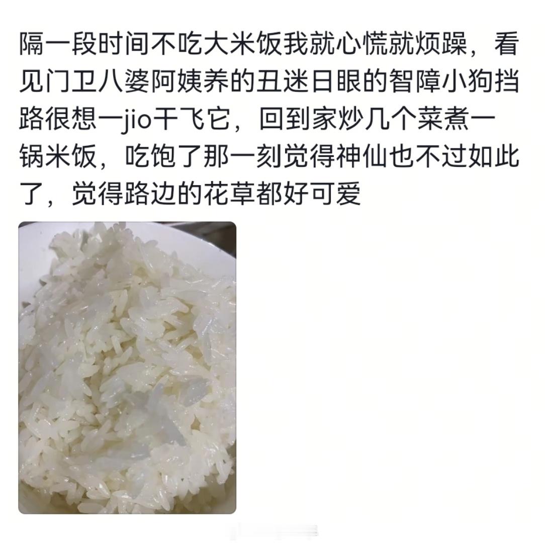 人的底层代码其实特别简单