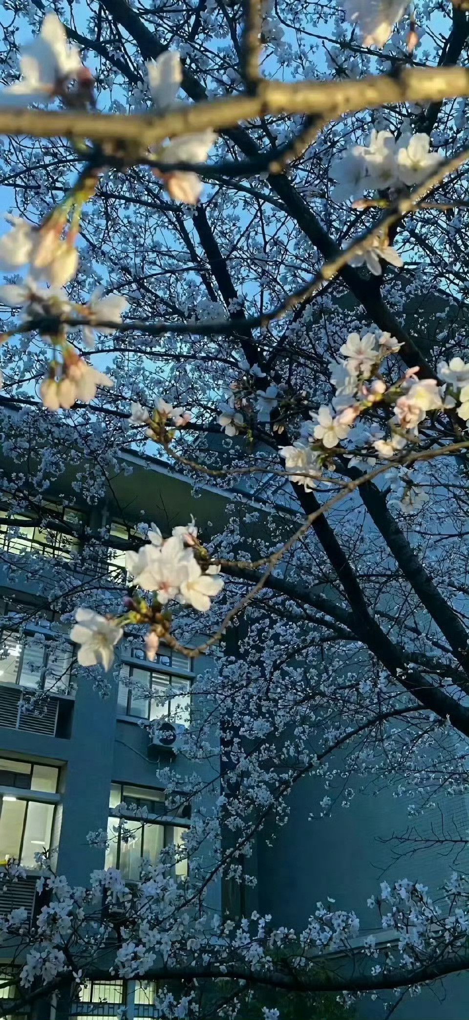 风景壁纸丨高清壁纸丨𝙒𝙖𝙡𝙡𝙥𝙖𝙥𝙚𝙧丨治愈系风景|好